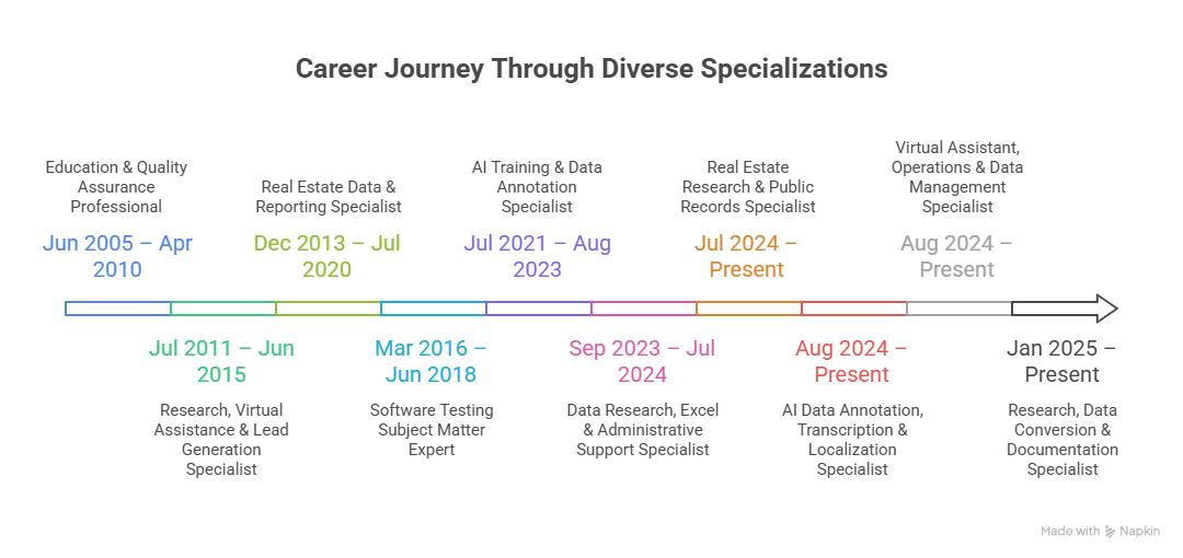 Experience and career timeline overview